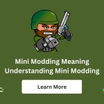 Mini Modding Meaning