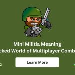 Mini Militia Meaning