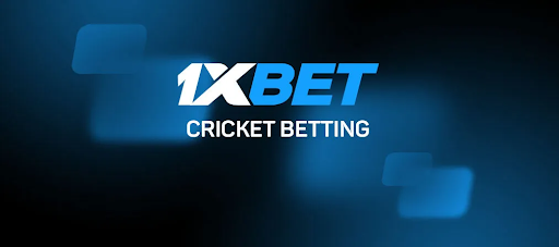 1xBet cricket betting